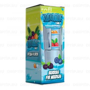 Холодос Salt - Ягоды и Хвоя