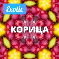 Exotic КОРИЦА 10мл