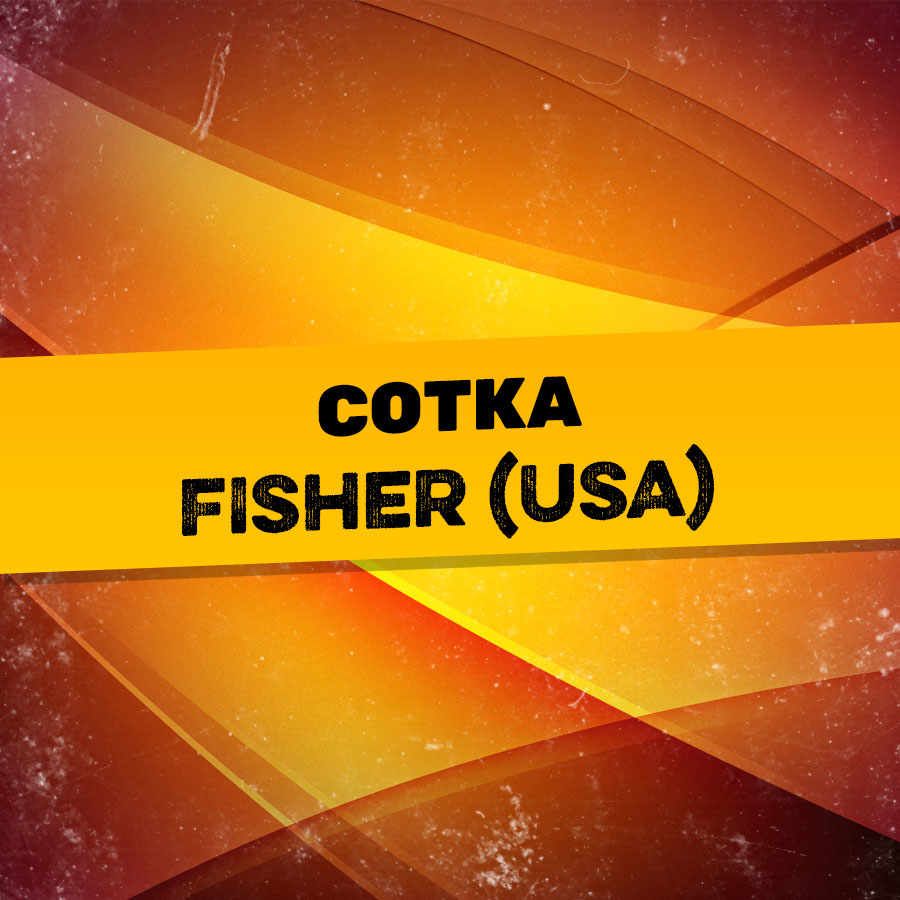 Сотка Fisher USA Сотка Fisher USA