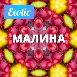 Exotic МАЛИНА 10мл Exotic МАЛИНА 10мл