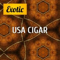 Exotic USA Cigar 10мл