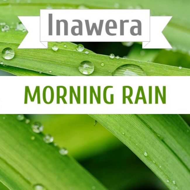 Inawera Morning Rain Inawera Morning Rain