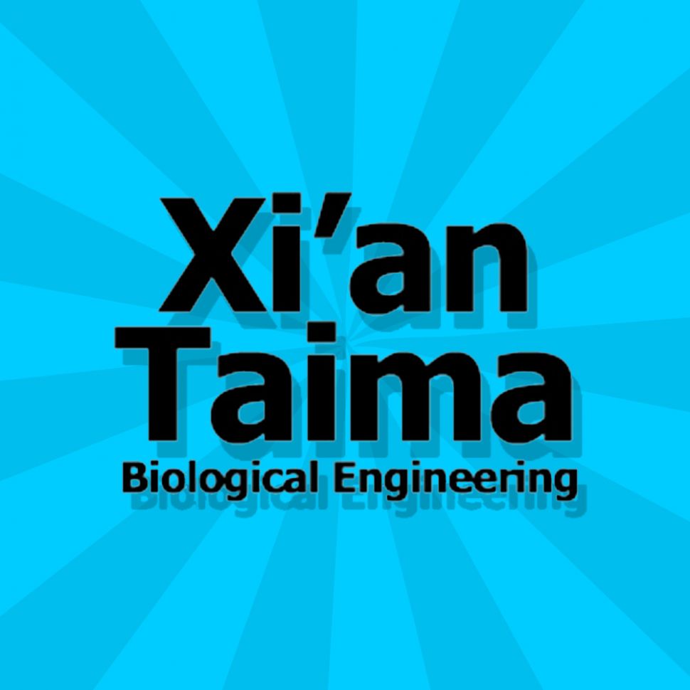 Xi'an Taima Black Tea