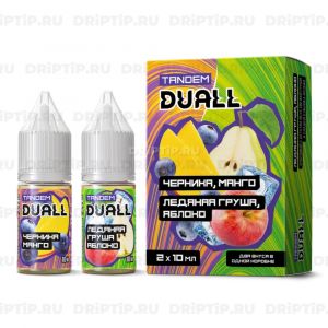 Duall Tandem Salt - Черника Манго и Ледяная Груша Яблоко