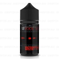 Voice Pod Salt - Echo