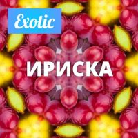 Exotic ИРИСКА 10мл