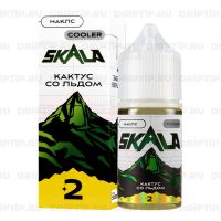 Skala Salt - Кактус со льдом