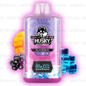 Husky Cyber 2.0 18000 - Black Sun