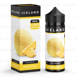 Iceland Ice Cream - Pineapple