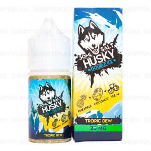 Husky Double Ice Salt - Tropic Dew